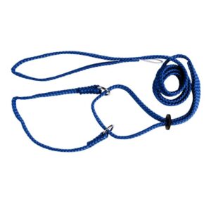 blue - Beau Pets Martingale Show Lead | Adjustable Nylon Dog Lead