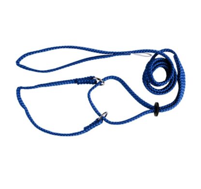 blue - Beau Pets Martingale Show Lead | Adjustable Nylon Dog Lead