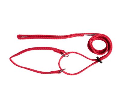 red - Beau Pets Martingale Show Lead | Adjustable Nylon Dog Lead