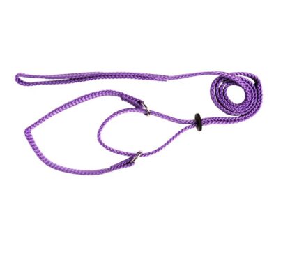purple - Beau Pets Martingale Show Lead | Adjustable Nylon Dog Lead