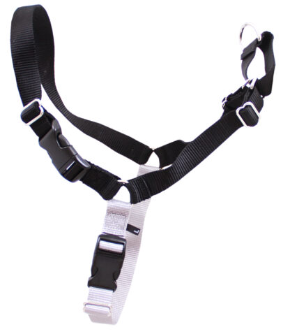 Stop leash pulling with the Beau Pets Gentle Leader Harness in Black. Easy to fit, comfortable, and designed to gently redirect your dog’s attention.