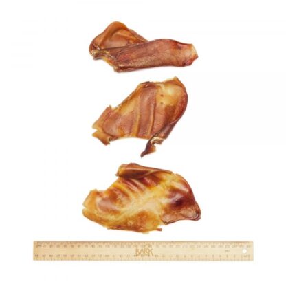 Bark & Beyond Pigs Ears are natural, grain-free dog chews that support dental health. Australian made with 100% pork and no fillers or preservatives.