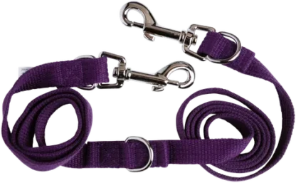 Beau Pets Adjustable Webbing Lead features dual snap hooks, 3 D-rings for customizable length, and is proudly made in Australia.