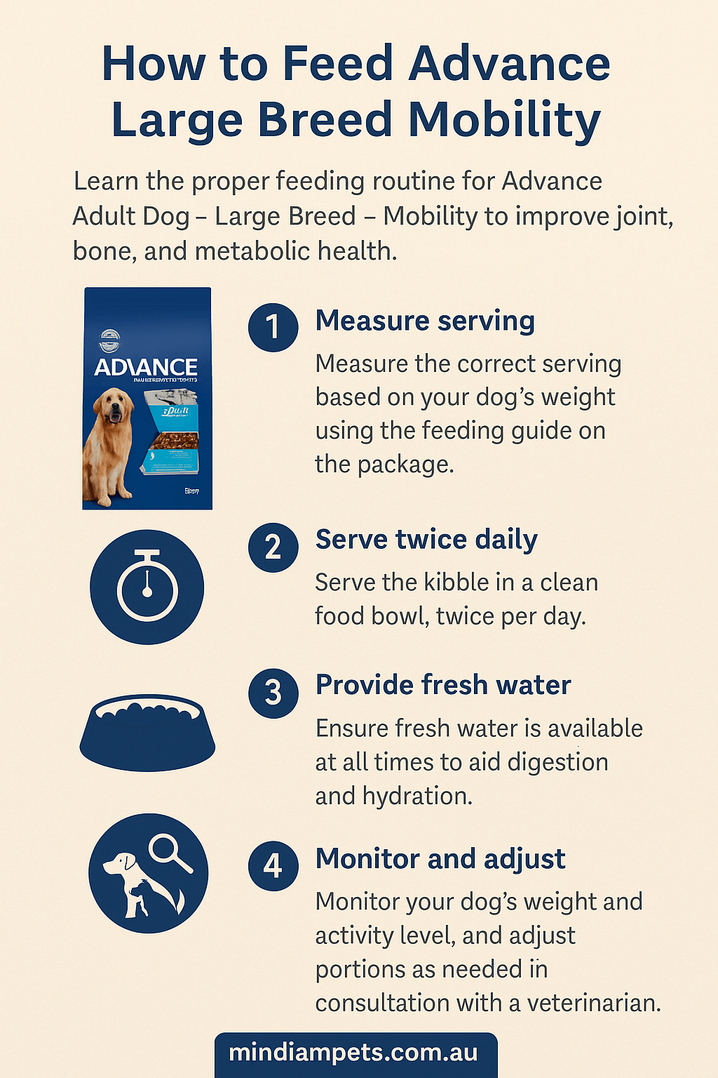 How to Feed Advance – Adult Dog – Large Breed – Mobility – Infographic - Mindiampets | Pet Shop Online Step-by-step guide showing how to feed Advance Large Breed Mobility dry dog food for optimal joint and bone health.
