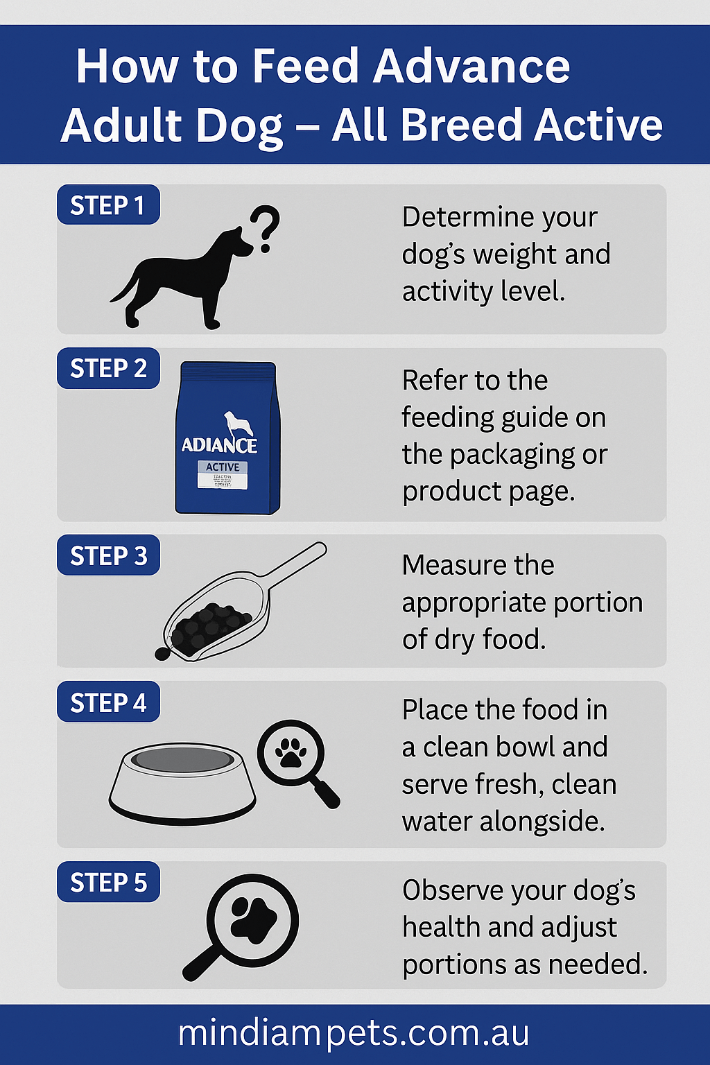 How to Feed Advance Adult Dog – All Breed Active - Mindiampets | Pet Shop Online Step-by-step infographic for feeding Advance Adult Dog All Breed Active formula