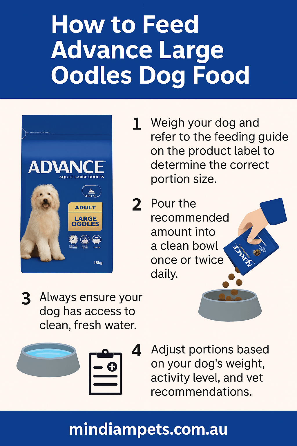 How to Feed Advance Large Oodles Dog Food – Step-by-Step Infographic - Mindiampets | Pet Shop Online tep-by-step guide to feeding Advance Large Oodles dog food for skin, coat, and gut health