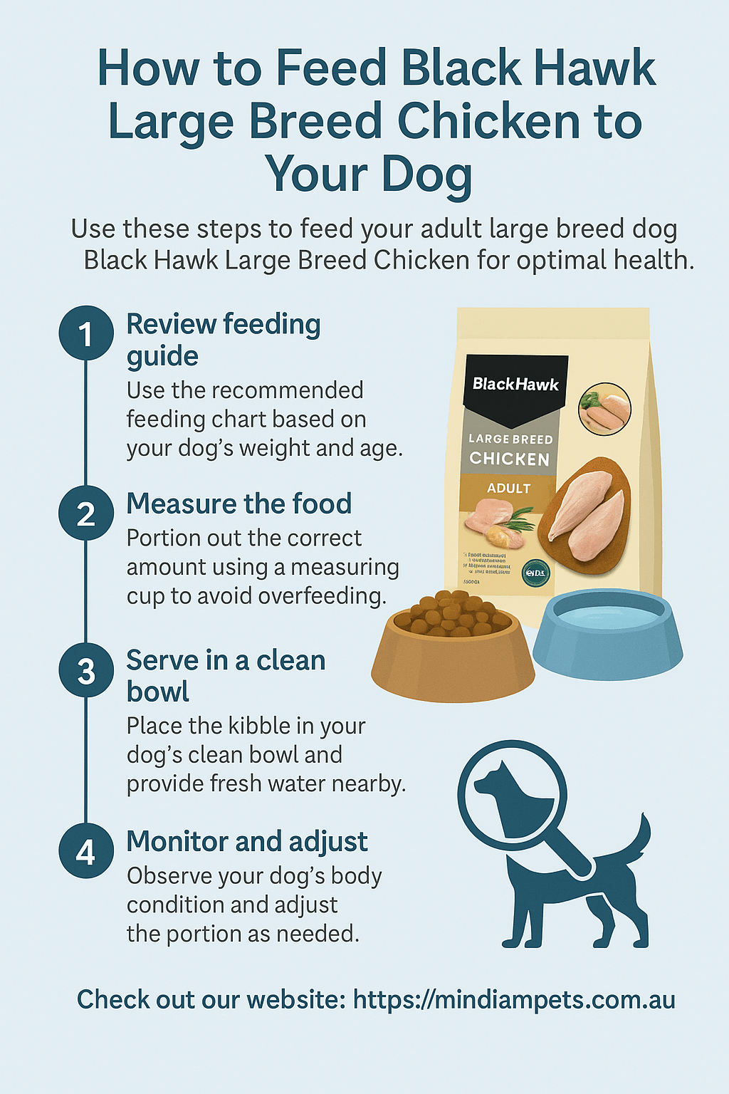 How to Feed Black Hawk Large Breed Chicken Step-by-Step Guide - Mindiampets | Pet Shop Online Step-by-step infographic on how to feed Black Hawk Large Breed Chicken dog food with portioning and hydration tips