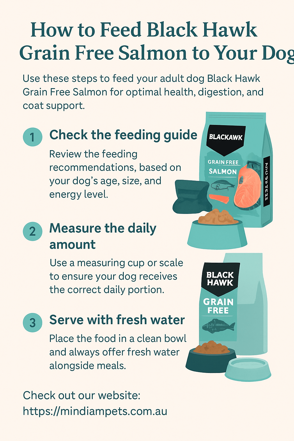 How to Feed Black Hawk Grain Free Salmon to Your Dog - Mindiampets | Pet Shop Online Infographic titled 'How to Feed Black Hawk Grain Free Salmon to Your Dog' showing step-by-step feeding instructions with illustrated pet food and bowls