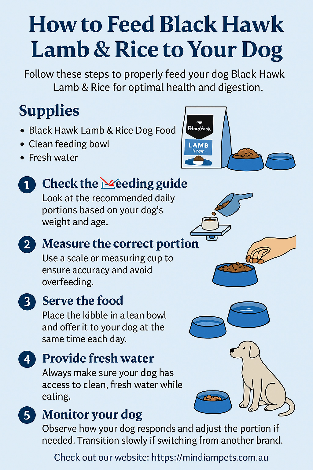  Step-by-step guide showing how to feed Black Hawk Lamb & Rice dog food with clean bowl, portion tips, and hydration reminder.