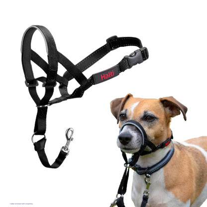 Halti – Headcollar | No-Pull Dog Training Headcollar