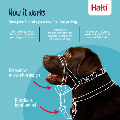 Halti – Headcollar | No-Pull Dog Training Headcollar