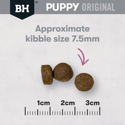 Support your small-breed puppy with Black Hawk Lamb & Rice. Made with grass-fed lamb, prebiotic fibre, and omega-3 for strong growth, healthy digestion, and brain development.