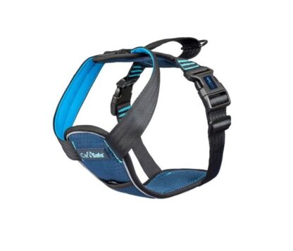 CarSafe – Crash Tested Dog Harness Blue | Certified Car Safety Harness