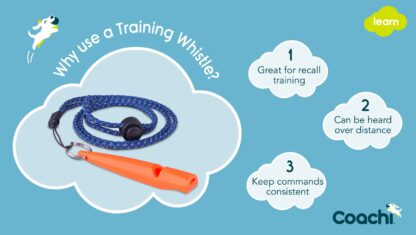 Coachi – Dog Training Whistle | Recall & Obedience Training Aid