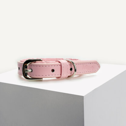 Dan & Sam Dog Collar Vegan Leather | Stylish Collar