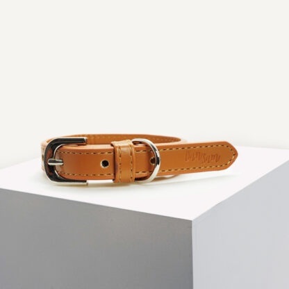 Dan & Sam Dog Collar Vegan Leather | Stylish Collar