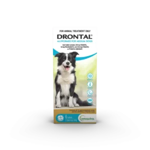 Drontal – Allwormer | Complete Protection Against Gastrointestinal Worms