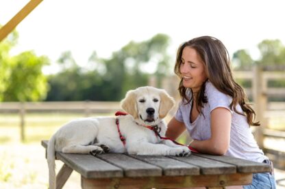Halti – Walking Harness Red | Comfortable Adjustable Dog Harness