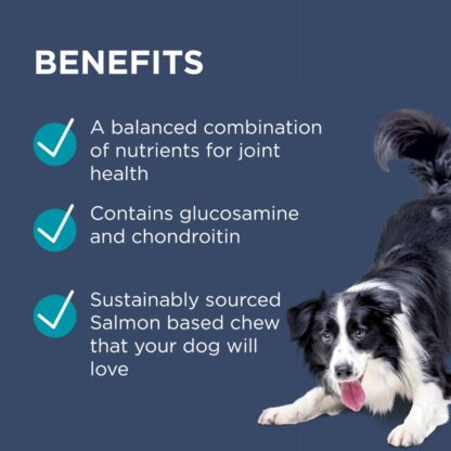 Blackmores PAW – OsteoCare Joint Protect | Joint Health for Dogs