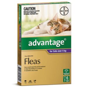 Advantage Flea Treatment for Cats Over 4kg – Spot-On | Australia