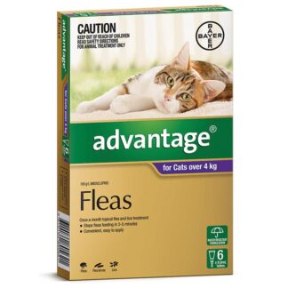 Advantage Flea Treatment for Cats Over 4kg – Spot-On | Australia