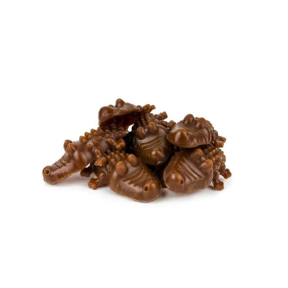 It’s Treat Time – Dental Veggie Delights – Crocodile Small | Mindiampets Australia