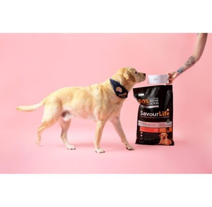 SavourLife – Adult Dog – Care Plus – Grain Free – Lean with Australian Turkey | Mindiampets Australia