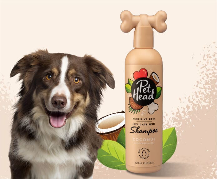 Pet Head – Sensitive Soul | Gentle Dog Shampoo for Sensitive Skin | Mindiampets Australia - Mindiampets | Pet Shop Online Pet Head – Sensitive Soul | Gentle Dog Shampoo for Sensitive Skin | Mindiampets Australia
