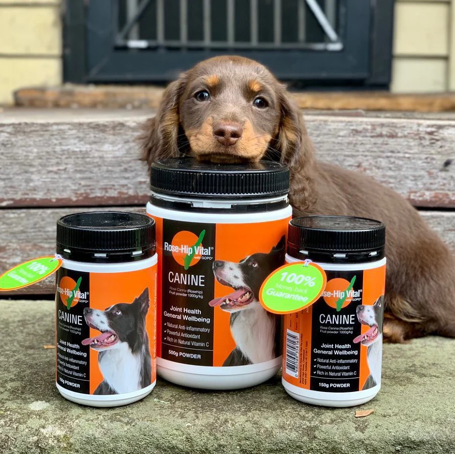 Rose-Hip Vital – Canine | Natural Joint Health Supplement for Dogs | Mindiampets Australia - Mindiampets | Pet Shop Online Rose-Hip Vital – Canine | Natural Joint Health Supplement for Dogs | Mindiampets Australia