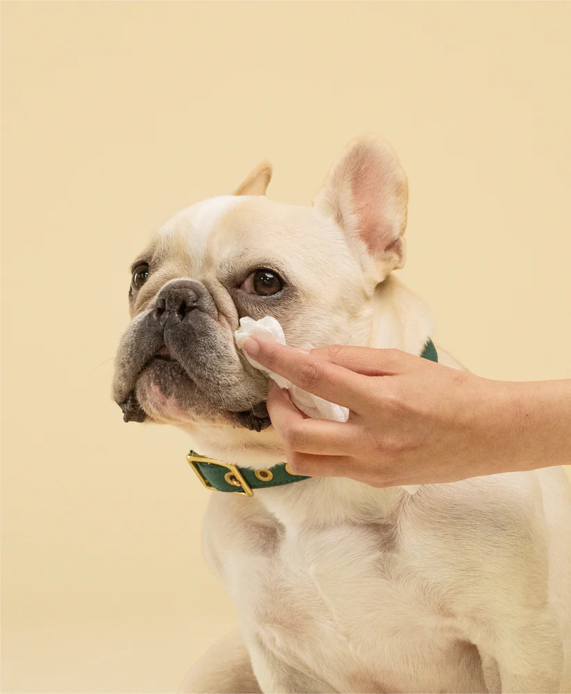 Squeaky – Probiotic Pet Eye Wipes | Gentle Eye Cleaning for Dogs | Mindiampets Australia - Mindiampets | Pet Shop Online Squeaky – Probiotic Pet Eye Wipes | Gentle Eye Cleaning for Dogs | Mindiampets Australia