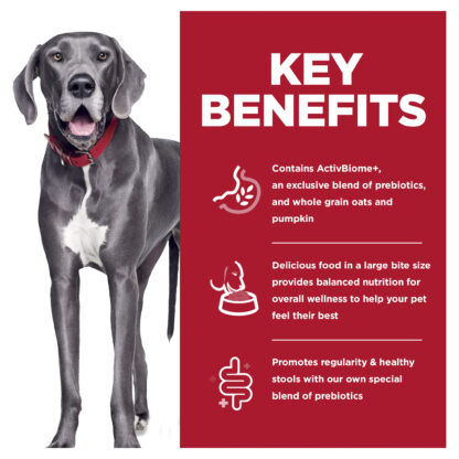 Hill’s – Science Diet – Adult Dog (1–5) – Perfect Digestion – Large Breed – 9.98kg | Mindiampets Australia