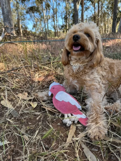 How to Play with Georgie Paws Gav the Galah