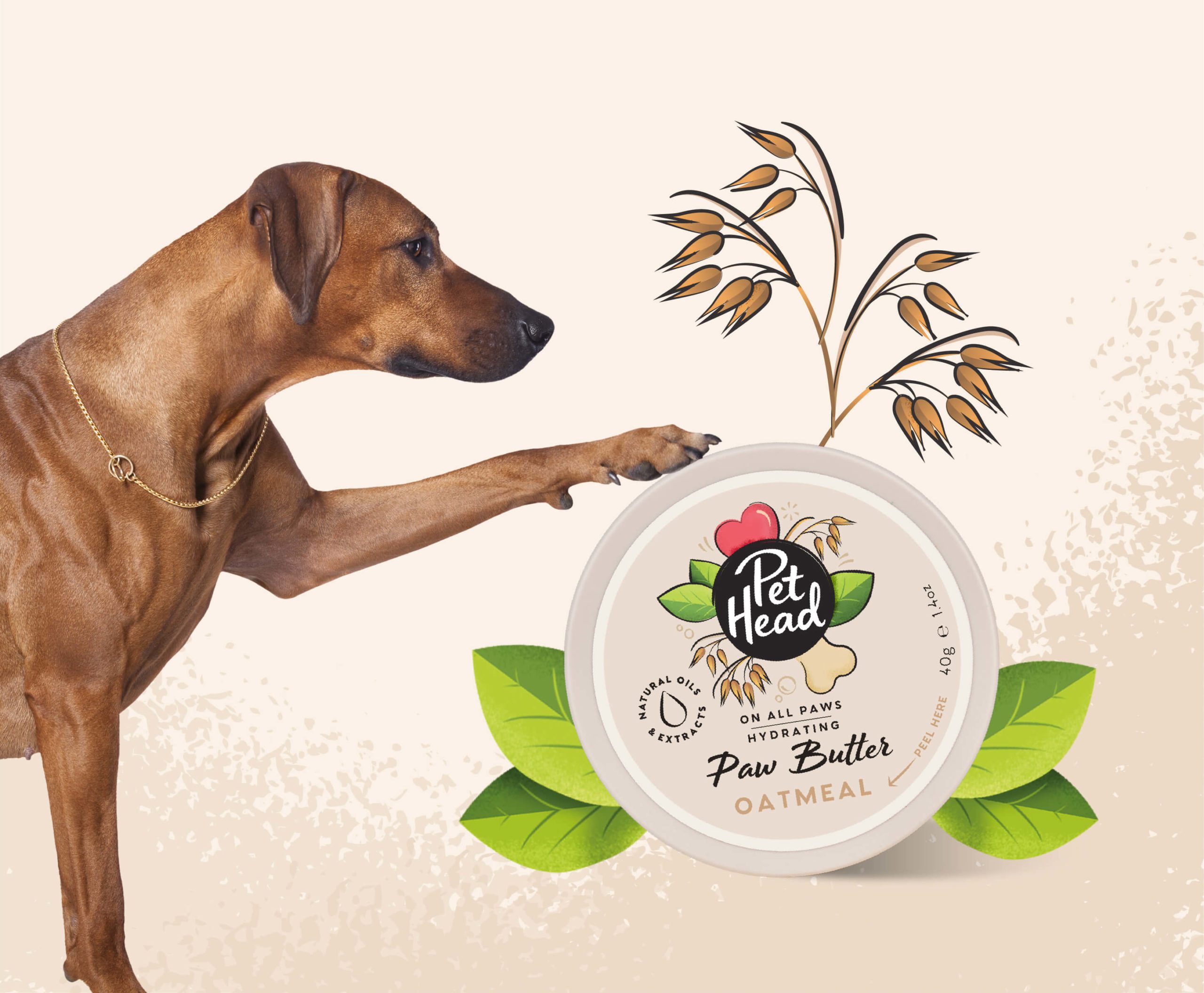 Pet Head – On All Paws | Oatmeal Paw Butter for Dogs | Mindiampets Australia - Mindiampets | Pet Shop Online Pet Head – On All Paws | Oatmeal Paw Butter for Dogs | Mindiampets Australia