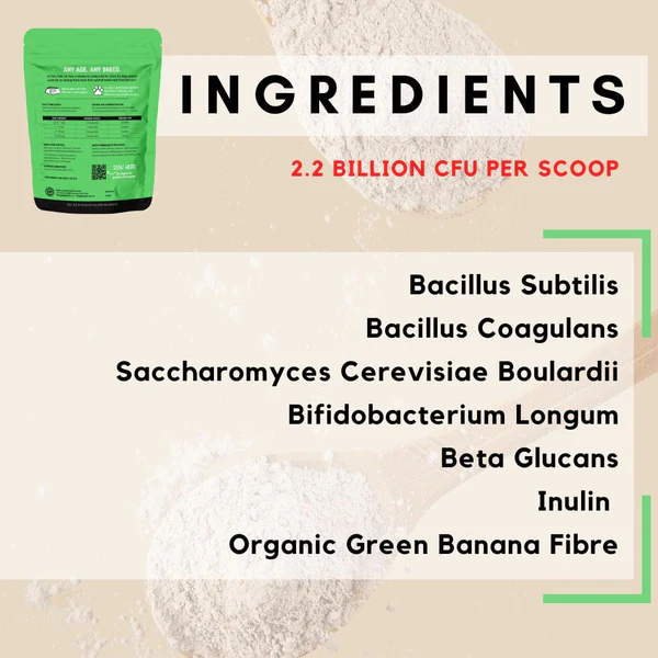 PetzPark – Probiotic – For Dogs | Gut Health & Digestion Support | Mindiampets Australia - Mindiampets | Pet Shop Online PetzPark – Probiotic – For Dogs | Gut Health & Digestion Support | Mindiampets Australia