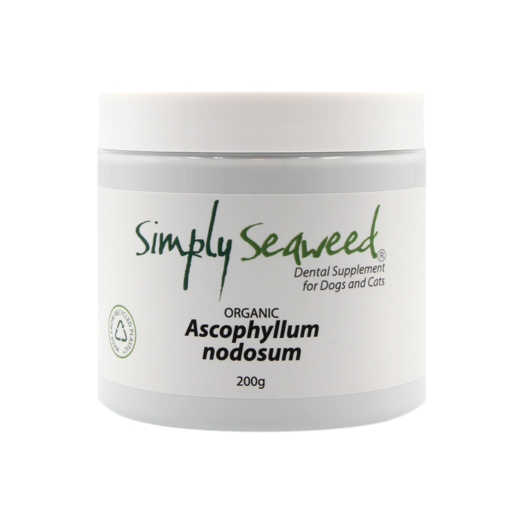 Simply Seaweed – Dental Supplement | Natural Plaque & Breath Care for Pets | Mindiampets Australia - Mindiampets | Pet Shop Online Simply Seaweed – Dental Supplement | Natural Plaque & Breath Care for Pets | Mindiampets Australia