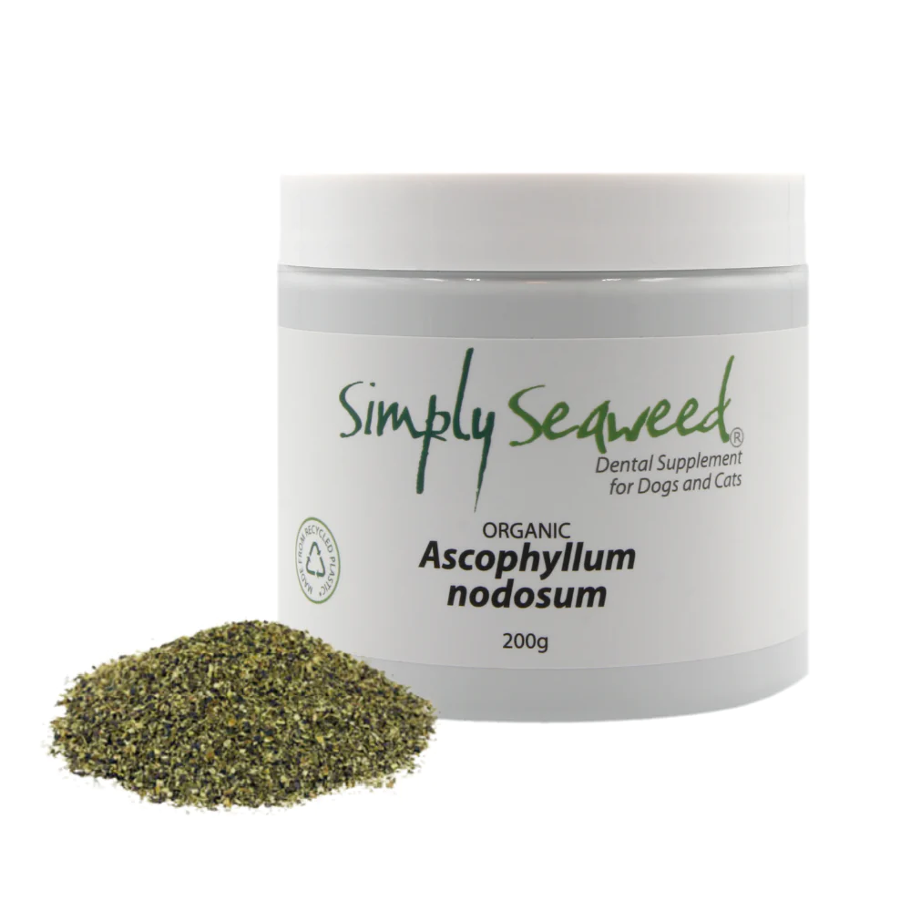 Simply Seaweed – Dental Supplement | Natural Plaque & Breath Care for Pets | Mindiampets Australia - Mindiampets | Pet Shop Online Simply Seaweed – Dental Supplement | Natural Plaque & Breath Care for Pets | Mindiampets Australia