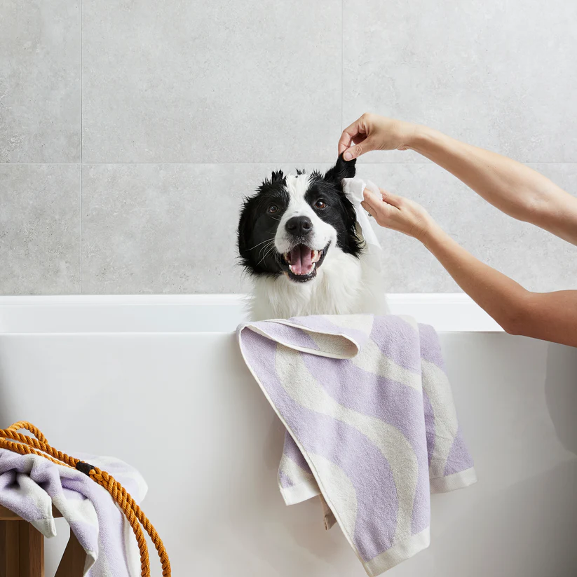 Squeaky – Probiotic Pet Ear Wipes | Natural Ear Cleaning for Dogs | Mindiampets Australia - Mindiampets | Pet Shop Online Squeaky – Probiotic Pet Ear Wipes | Natural Ear Cleaning for Dogs | Mindiampets Australia v