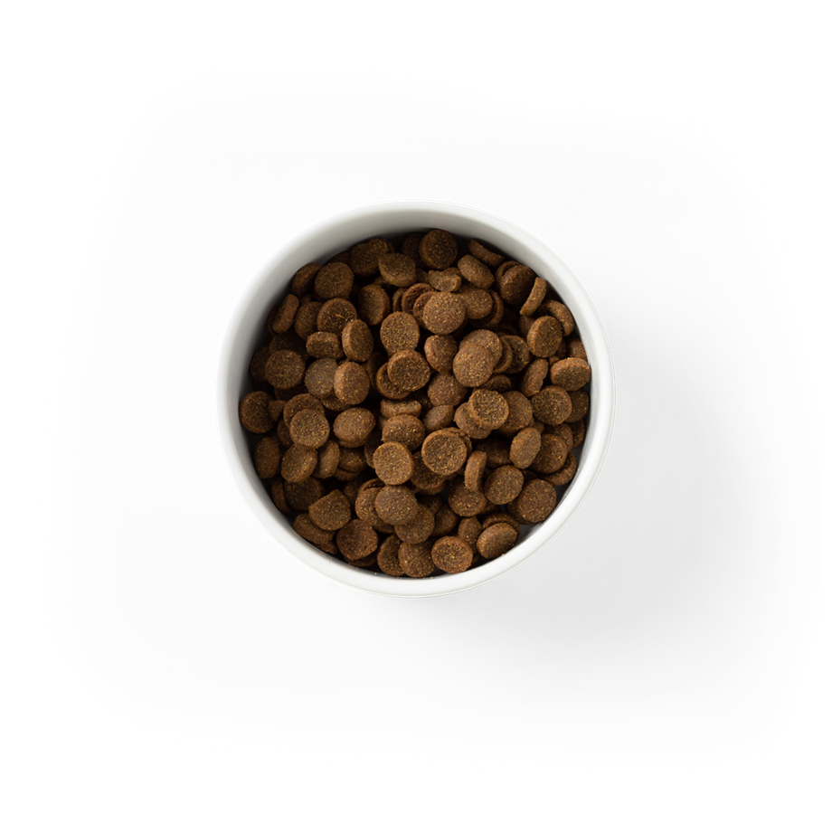 SavourLife – Adult Dog – Essentials – Australian Beef | Mindiampets Australia - Mindiampets | Pet Shop Online SavourLife – Adult Dog – Essentials – Australian Beef | Mindiampets Australia