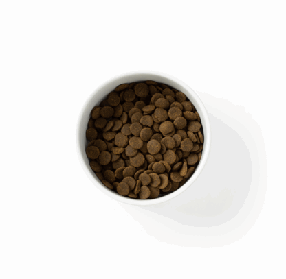 SavourLife – Adult Dog – Grain Free – Australian Kangaroo & Chicken | Mindiampets Australia