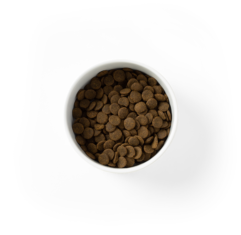 SavourLife – Adult Dog – Care Plus – Grain Free – Sensitive with Australian Ocean Fish | Mindiampets Australia - Mindiampets | Pet Shop Online SavourLife – Adult Dog – Care Plus – Grain Free – Sensitive with Australian Ocean Fish | Mindiampets Australia