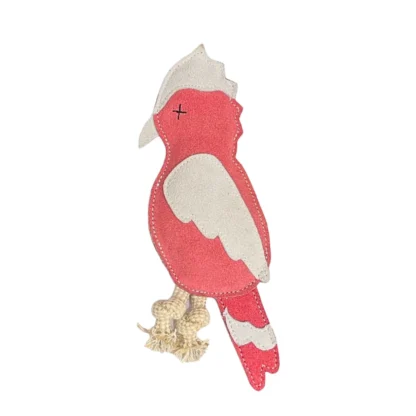 How to Play with Georgie Paws Gav the Galah