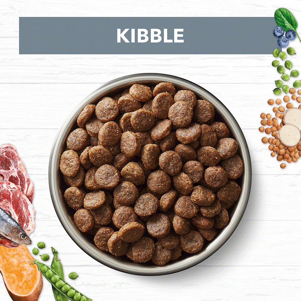 Ivory Coat – Adult Dog – GRAIN FREE – Lamb & Sardine | Mindiampets Australia - Mindiampets | Pet Shop Online Ivory Coat – Adult Dog – GRAIN FREE – Lamb & Sardine | Mindiampets Australia