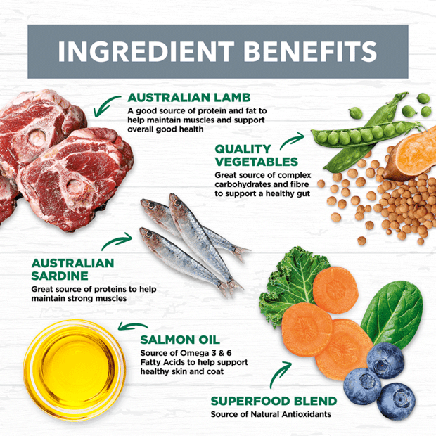 Ivory Coat – Adult Dog – GRAIN FREE – Lamb & Sardine | Mindiampets Australia - Mindiampets | Pet Shop Online Ivory Coat – Adult Dog – GRAIN FREE – Lamb & Sardine | Mindiampets Australia