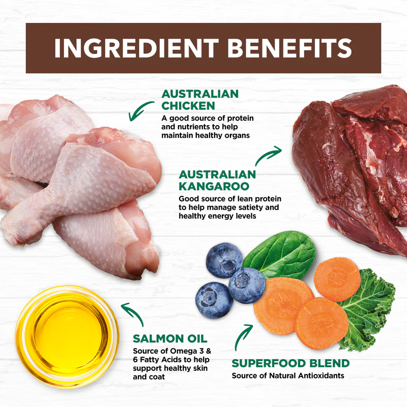 Ivory Coat adult cat grain free chicken and kangaroo Australia