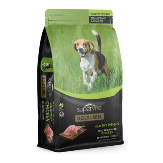Adult dog eating healthy weight dry dog food in Australia