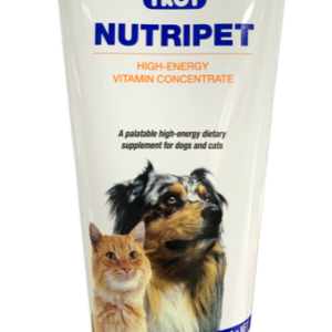 Pet supplement gel alternative to tablets for picky eaters