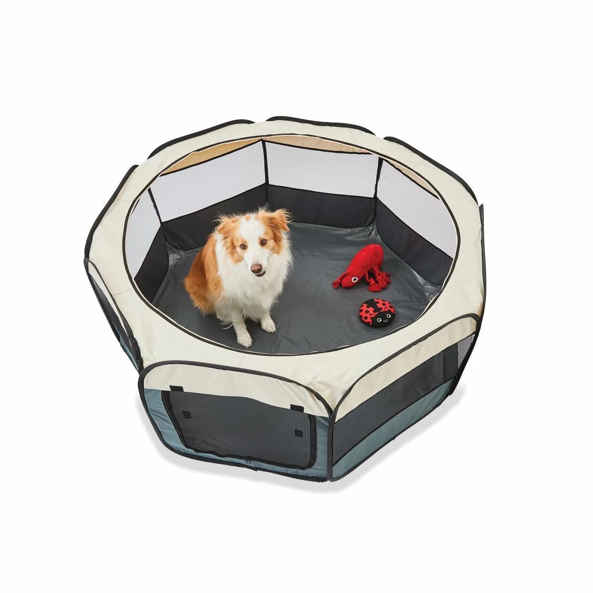 https://assets.kmart.com.au/transform/44d8a25c-cc59-47ba-bba5-75c5b4484bc4/42719496-1 - Purchase from an Australian pet store near you - Mindiampets | Pet Shop Online https://assets.kmart.com.au/transform/44d8a25c-cc59-47ba-bba5-75c5b4484bc4/42719496-1 - Purchase from an Australian pet store near you