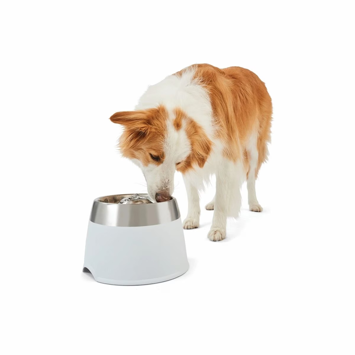 Pet Water Fountain - Mindiampets | Pet Shop Online Pet Water Fountain