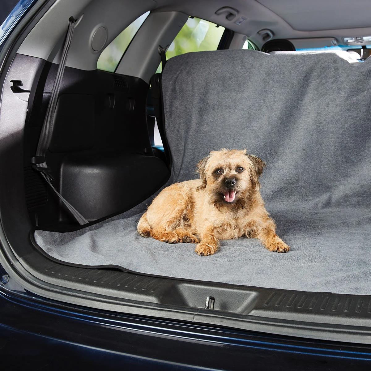 43170258-2 - Mindiampets | Pet Shop Online