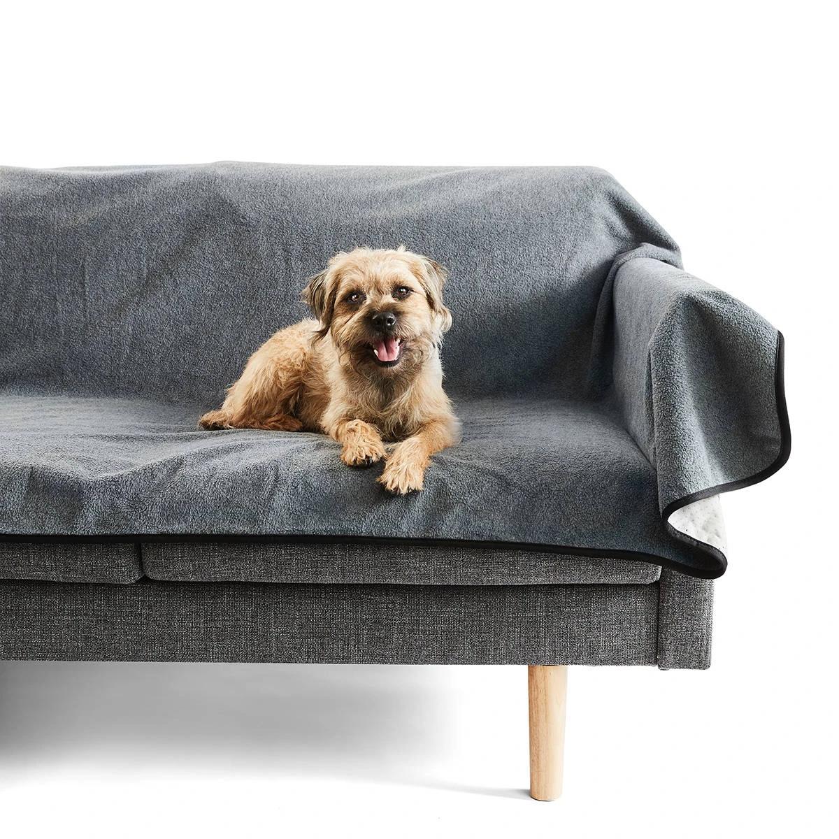 43170258-3 - Mindiampets | Pet Shop Online